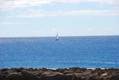 2007_05_30_HAWAII (100) (Large).JPG